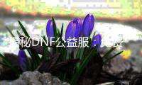 揭秘DNF公益服：免费畅玩的秘诀！